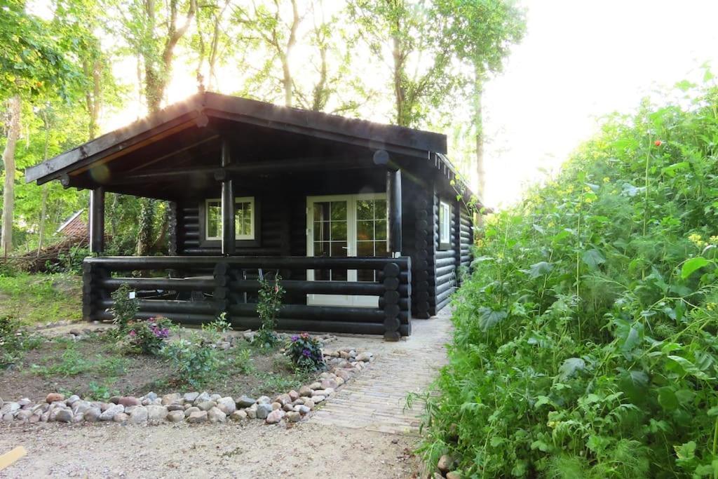 Villa Knusse En Gezellige Blokhut De Bijenstal Dedemsvaart Exterior foto